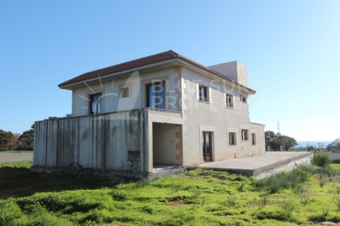 Вилла с 4 спальнями в Айя Напа, Кипр №36591 24