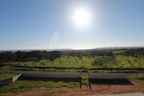 Вилла с 4 спальнями в Айя Напа, Кипр №36591 20