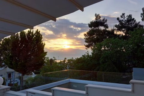 10 rooms Villa in Panorama, Greece No. 116884 3