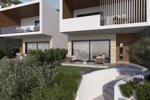 Вилла с 3 спальнями в Пейя, Кипр №82659 4