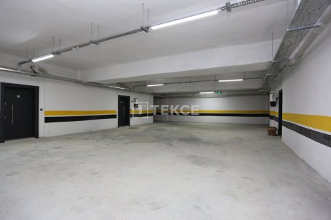 4 bedrooms Villa in Phu Tan, Vietnam No. 12712 7