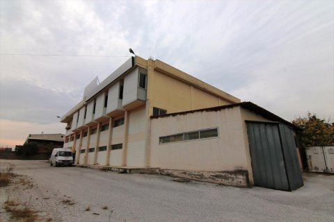 1450m² Commercial property en Oraiokastro, Greece No. 59322 1