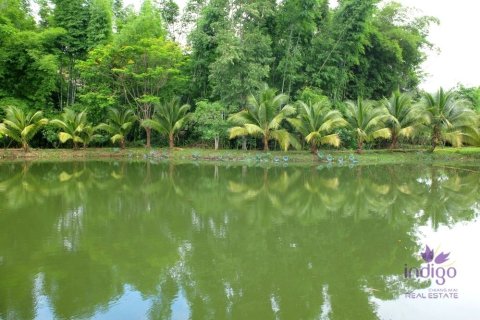 Дом с 5 спальнями в Чиангмай, Таиланд №97650 4