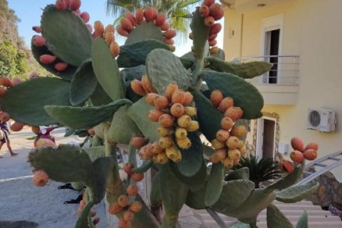 4 rooms Villa in Lien Chieu, Vietnam No. 22333 2