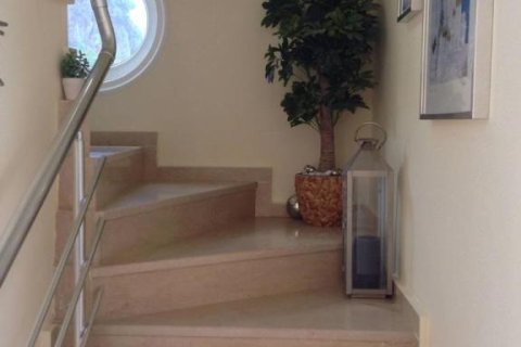 4 rooms Villa in Lien Chieu, Vietnam No. 22333 19