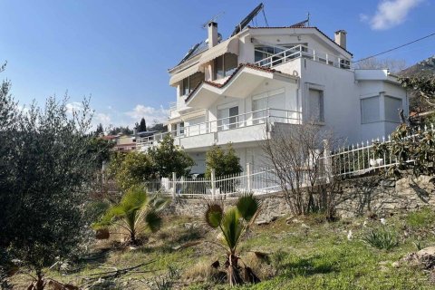 Вилла с 11 комнатами в Кавала, Греция №108451 28