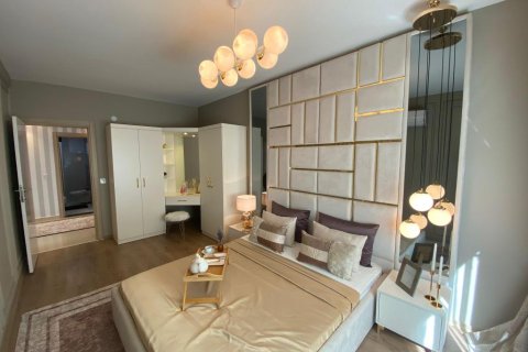 5 rooms Apartment in Tri Phuong, Vietnam No. 21390 10