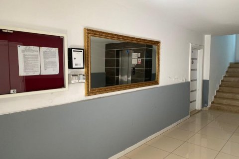 5 rooms Apartment in Tri Phuong, Vietnam No. 21390 3