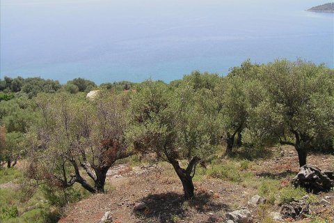 4010m² Land in Kalamos, Greece No. 109676