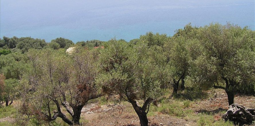 4010m² Land en Kalamos, Greece No. 109676