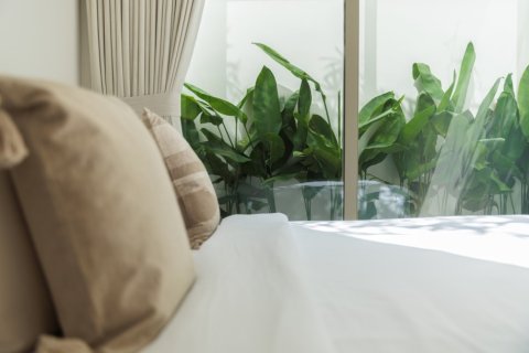 300m² Villa à Phuket, Thailand No. 97405 26