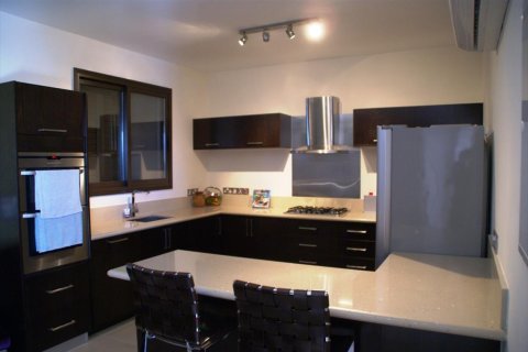 Вилла студия в Пафос, Кипр №105511 2