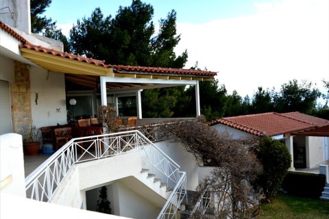 430m² House en Marathon, Greece No. 58866 12