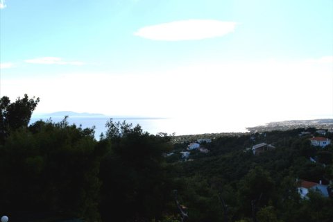 430m² House en Marathon, Greece No. 58866 14