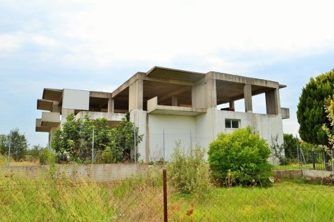 1000m² Affaires à Chalkidiki, Greece No. 58533 1