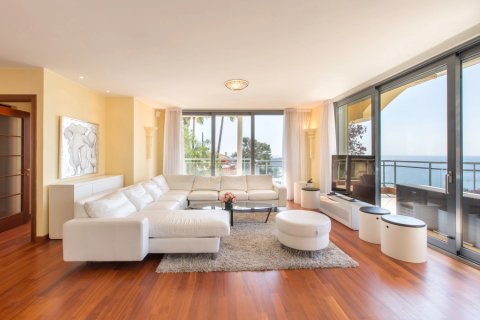 4 chambres Appartement à Villefranche-sur-Mer, France No. 68116 7