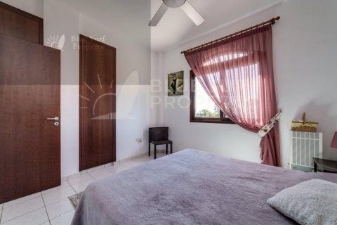 3 bedrooms Villa in Frenaros, Cyprus No. 64946 17