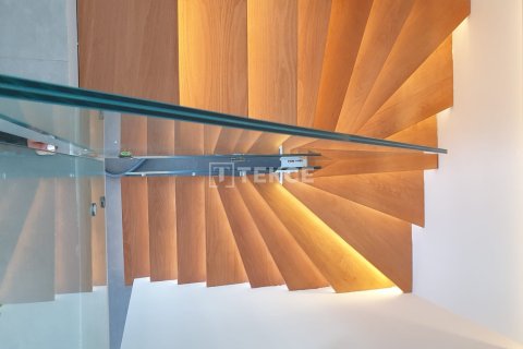 5 chambres Villa à Phi Dien, Vietnam No. 11951 6