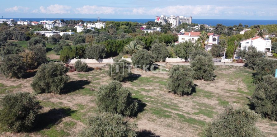 3211m² Land in Phu Ngai, Vietnam No. 20829