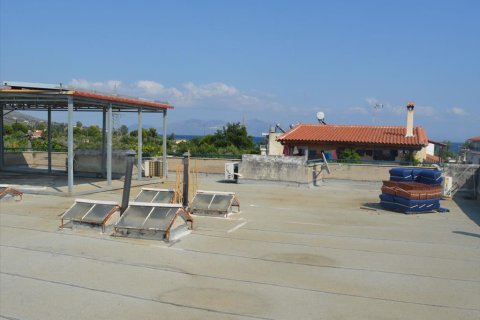 946m² Hotel en Euboea, Greece No. 59509 11