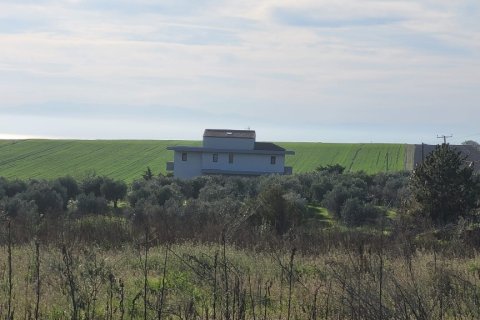 6 chambres Villa à Epanomi, Greece No. 54673 24