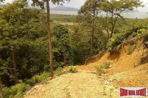 11700m² Land in Ko Lanta Yai, Thailand No. 96510 5