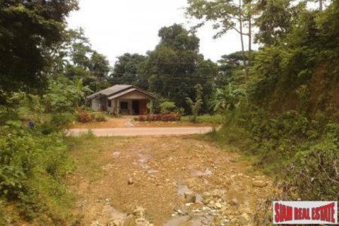 11700m² Land in Ko Lanta Yai, Thailand No. 96510 8