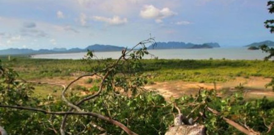 11700m² Land in Ko Lanta Yai, Thailand No. 96510