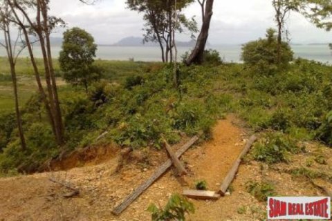 11700m² Land in Ko Lanta Yai, Thailand No. 96510 3