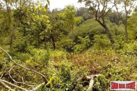 11700m² Land in Ko Lanta Yai, Thailand No. 96510 2