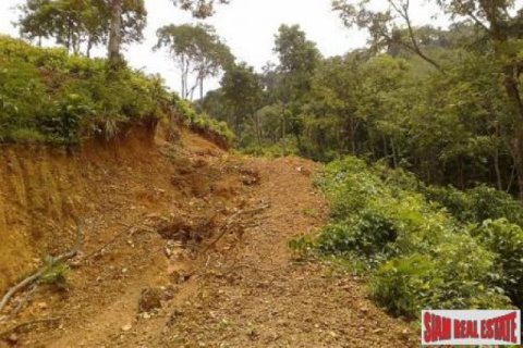 11700m² Land in Ko Lanta Yai, Thailand No. 96510 7