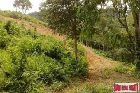 11700m² Land in Ko Lanta Yai, Thailand No. 96510 6