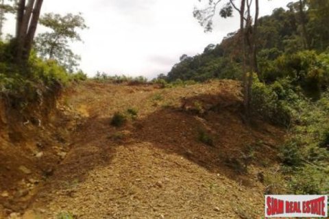 11700m² Land in Ko Lanta Yai, Thailand No. 96510 4