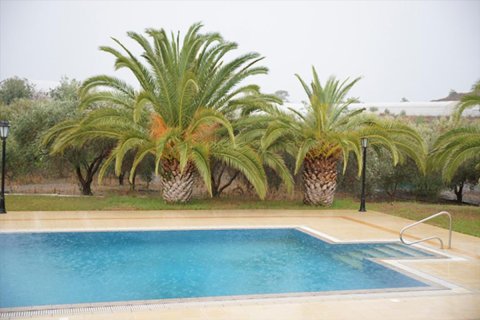 Studio Villa à Limassol, Cyprus No. 105794 7