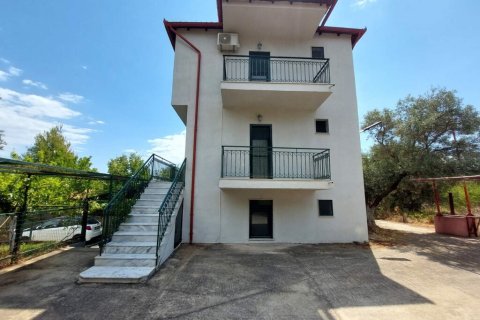 160m² House in Chalkidiki, Greece No. 107429 1