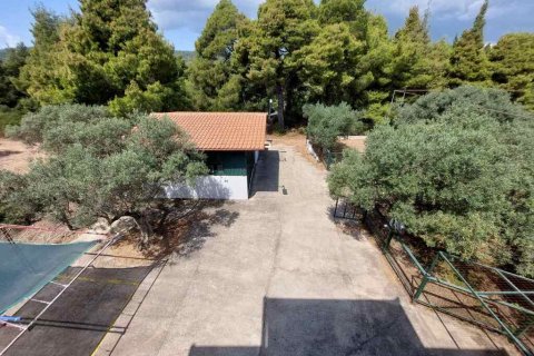 160m² House in Chalkidiki, Greece No. 107429 11