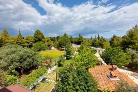 160m² House in Chalkidiki, Greece No. 107429 10