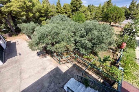 160m² House in Chalkidiki, Greece No. 107429 14