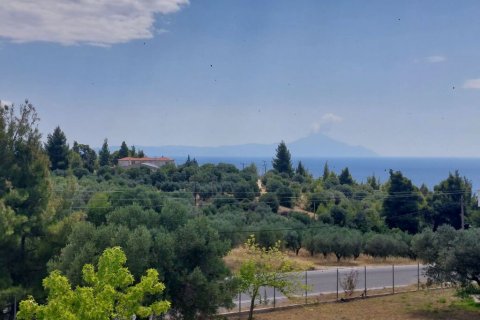 160m² House in Chalkidiki, Greece No. 107429 8