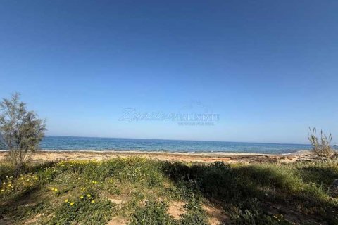 Дом с 3 спальнями в Фамагуста, Кипр №84456 6