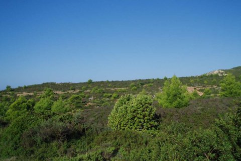 Land in Zakynthos, Greece No. 69510 6