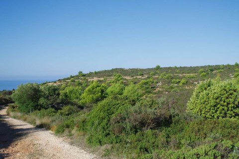 Land in Zakynthos, Greece No. 69510 11