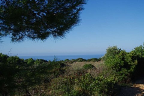 Land in Zakynthos, Greece No. 69510 14