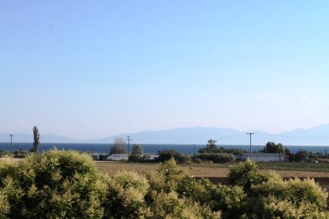 Дом с 3 спальнями в Халкидики, Греция №59580 15