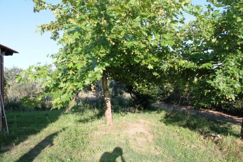 Дом с 3 спальнями в Халкидики, Греция №59580 16