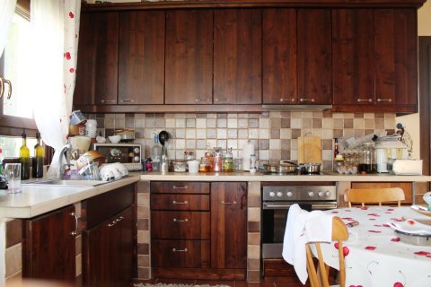 Дом с 3 спальнями в Халкидики, Греция №59580 6