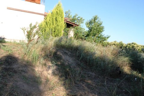 Дом с 3 спальнями в Халкидики, Греция №59580 13