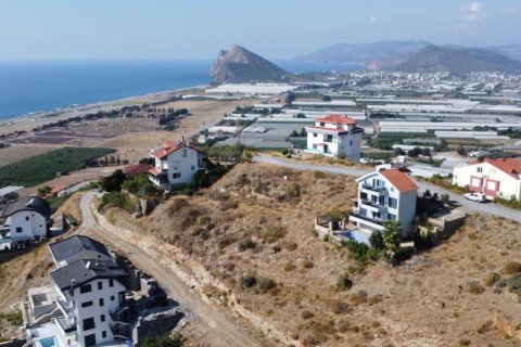 Квартира с 6 комнатами в Lam Cot, Вьетнам №21174 5