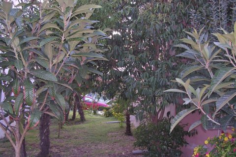 2 dormitorios House en Pieria, Greece No. 108033 12