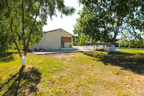 11 habitaciones Hotel en Corfu, Greece No. 109642 24